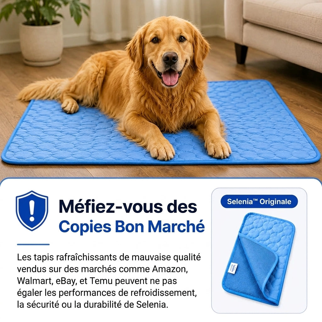 Protégez votre chien du coup de chaleur avec le tapis rafraîchissant Selenia™
