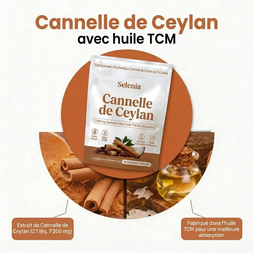Cannelle de Ceylan 7200 mg Équivalent avec Huile MCT