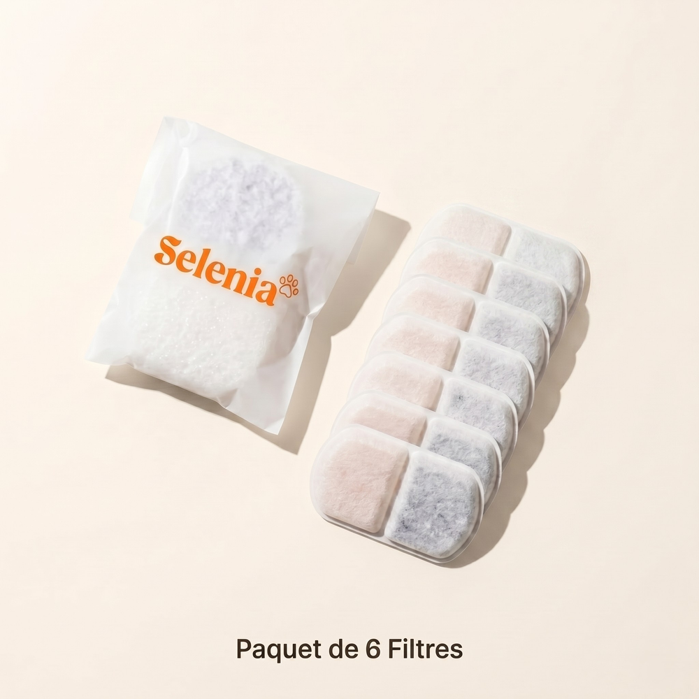 Pack 12 Mois • 6 filtres