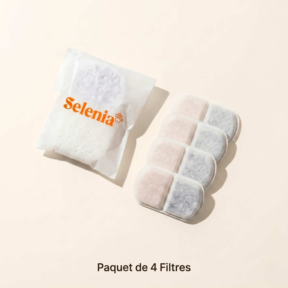Pack 8 Mois • 4 filtres