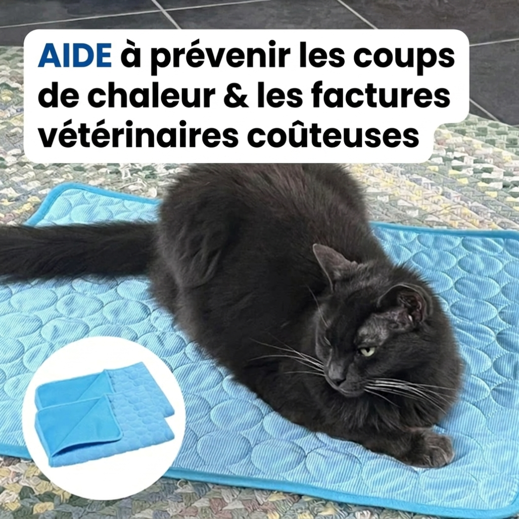 Protégez votre chat contre les coups de chaleur grâce au tapis rafraîchissant Selenia™