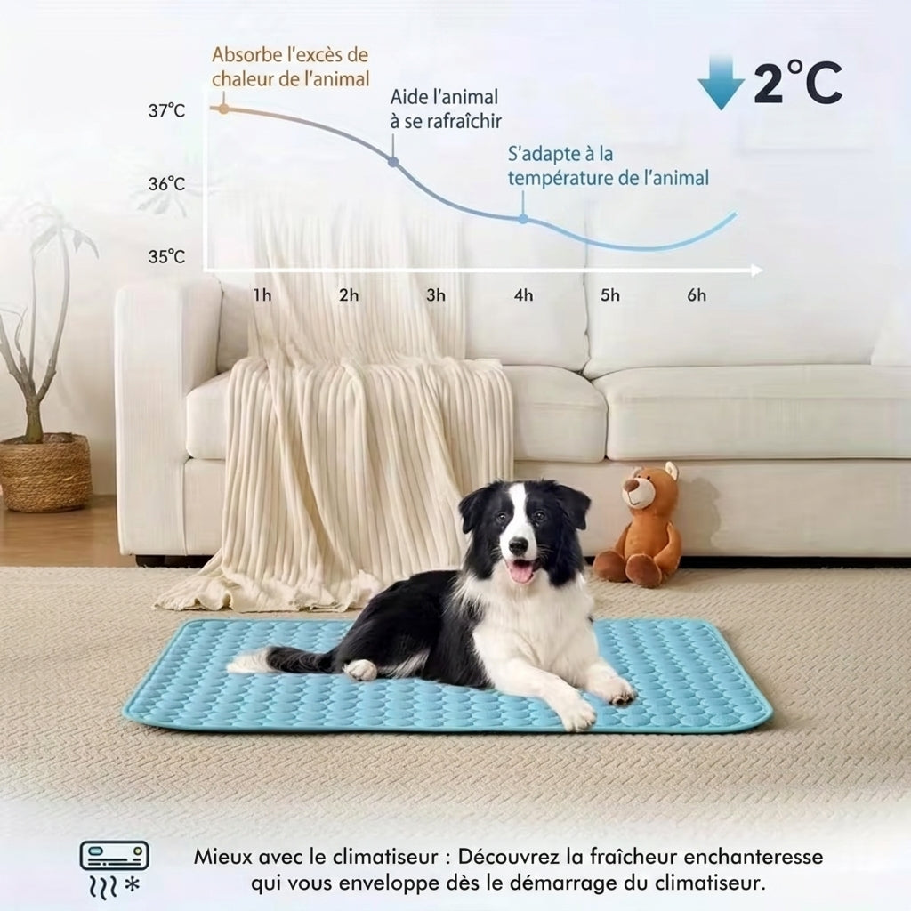 Protégez votre chien du coup de chaleur avec le tapis rafraîchissant Selenia™