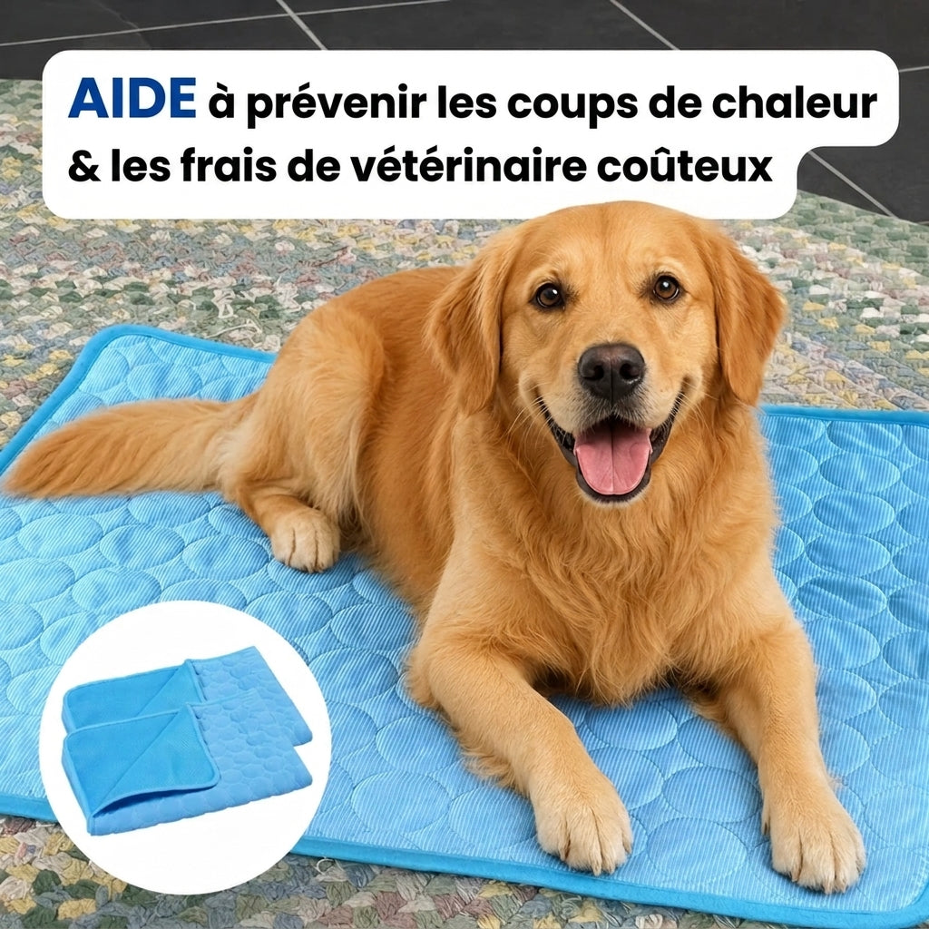 Protégez votre chien du coup de chaleur avec le tapis rafraîchissant Selenia™