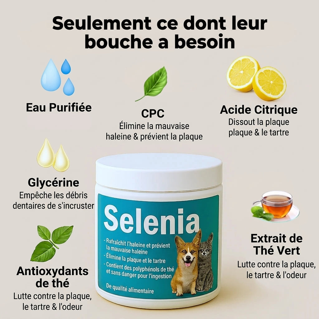 Lingettes dentaires naturelles pour animaux