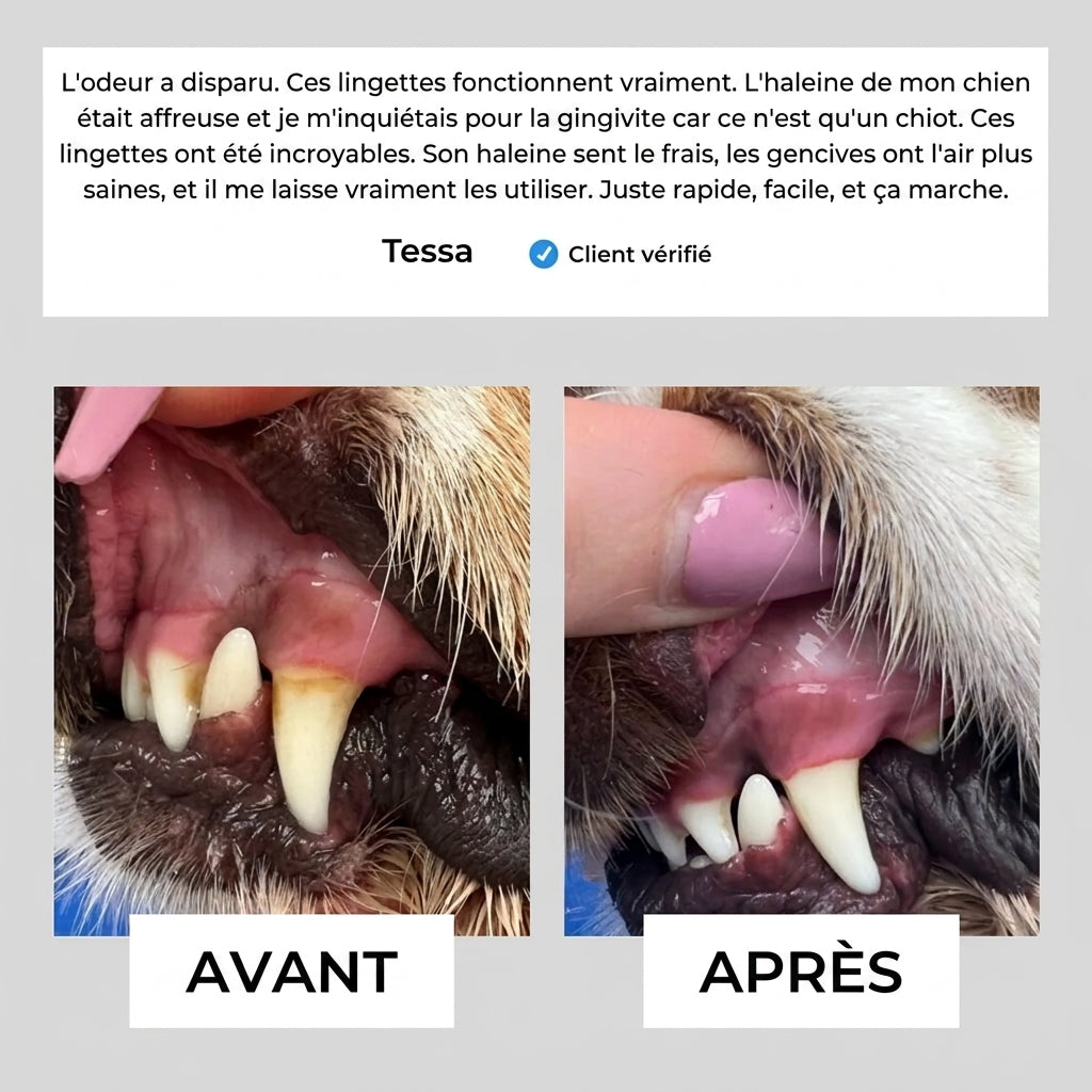 Lingettes dentaires naturelles pour animaux