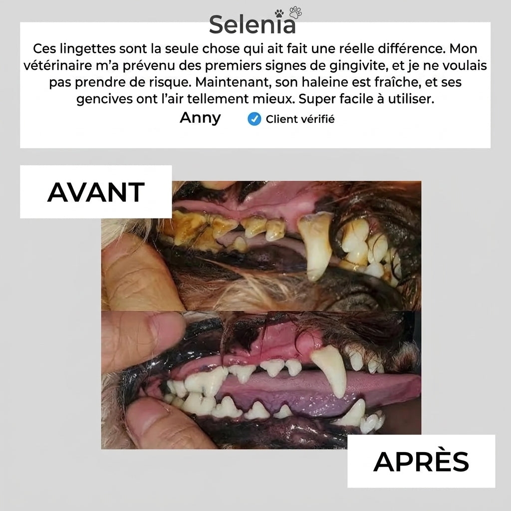 Lingettes dentaires naturelles pour animaux