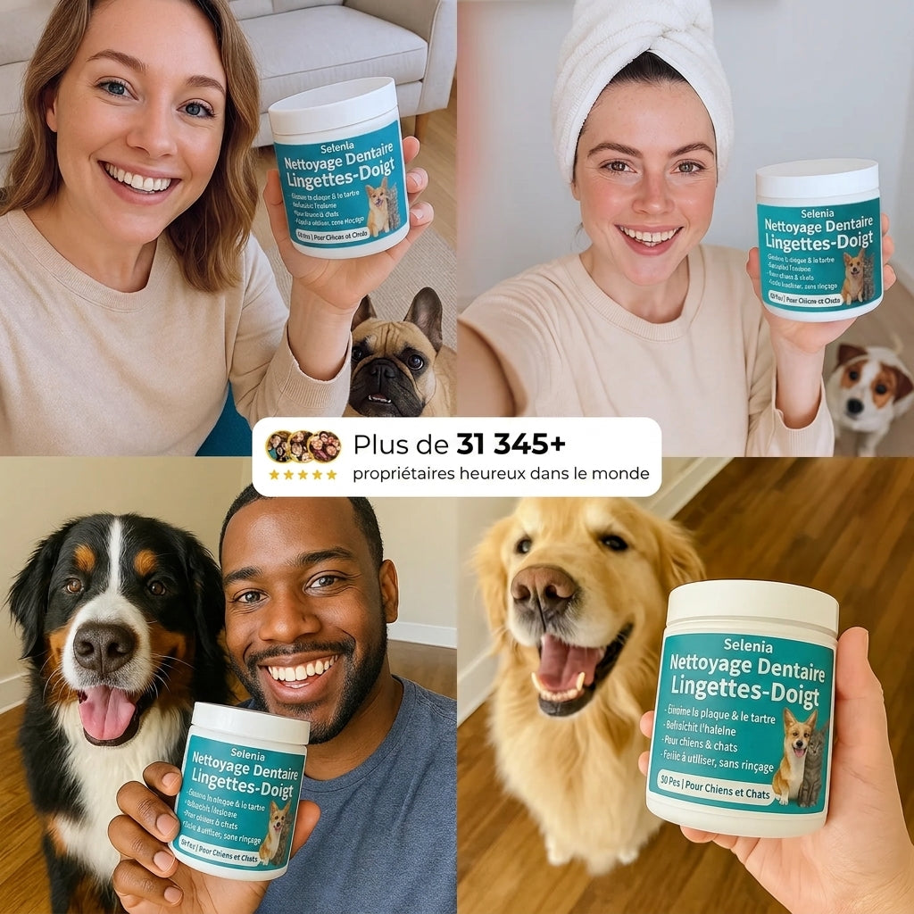 Lingettes dentaires naturelles pour animaux