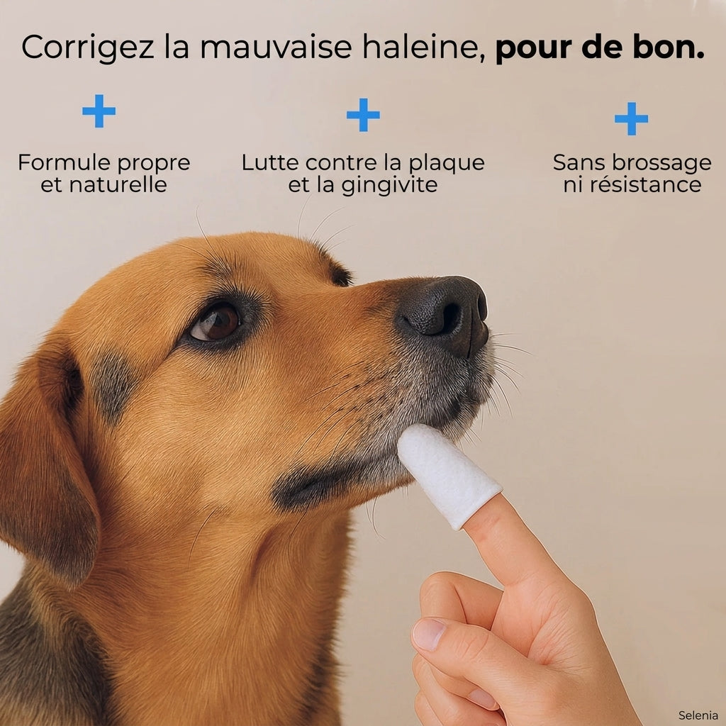Lingettes dentaires naturelles pour animaux