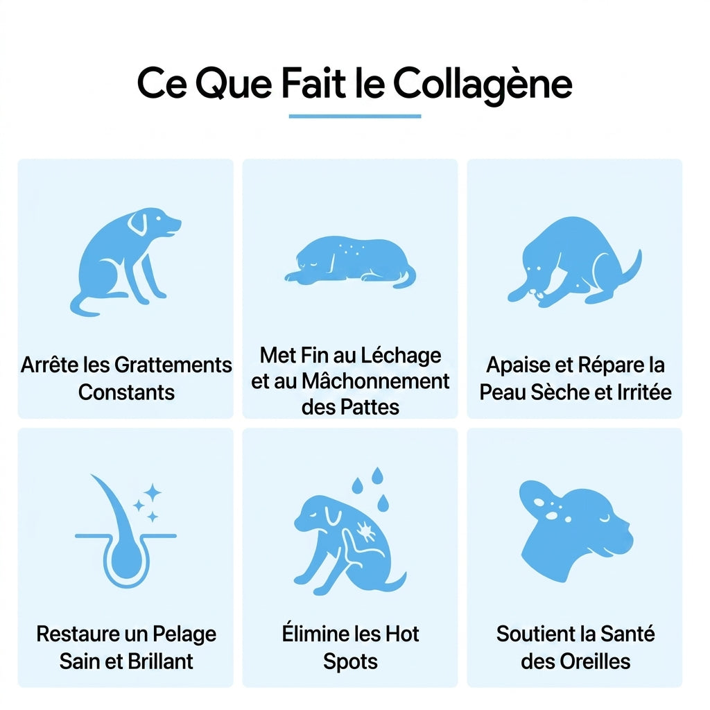 Collagène Liquide Premium Selenia™